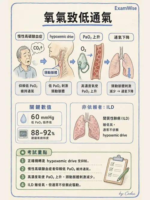 呼吸治療師 - 氣體輸送系統與氧氣治療 - AI 圖文解析預覽
