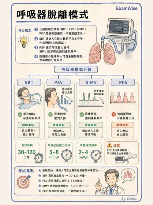 呼吸治療師 - 長期呼吸照護 - AI 圖文解析預覽