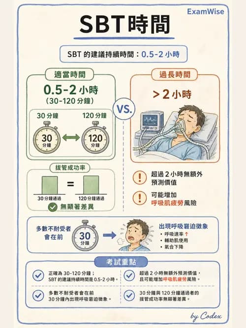 呼吸治療師 - 長期呼吸照護 - AI 圖文解析預覽