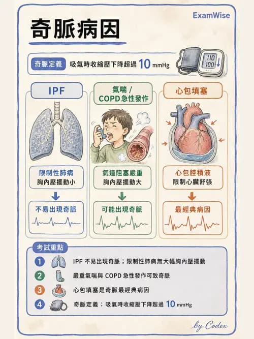 呼吸治療師 - 呼吸治療臨床作業與身體評估 - AI 圖文解析預覽