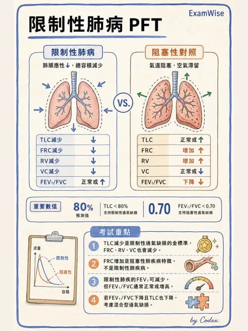 呼吸治療師 - 呼吸功能檢查 - AI 圖文解析預覽