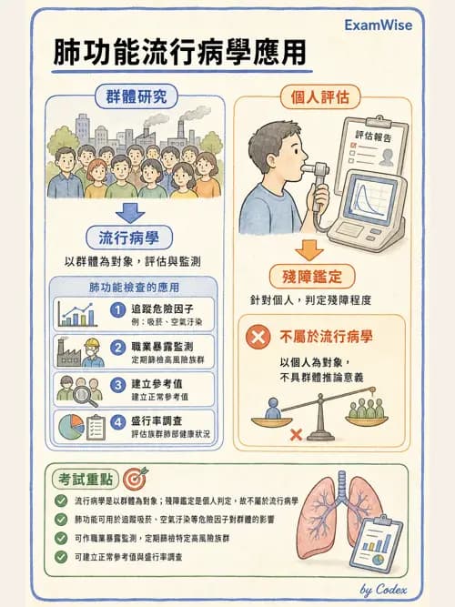 呼吸治療師 - 呼吸功能檢查 - AI 圖文解析預覽