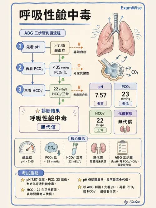呼吸治療師 - 動脈血液氣體分析與氧合評估 - AI 圖文解析預覽
