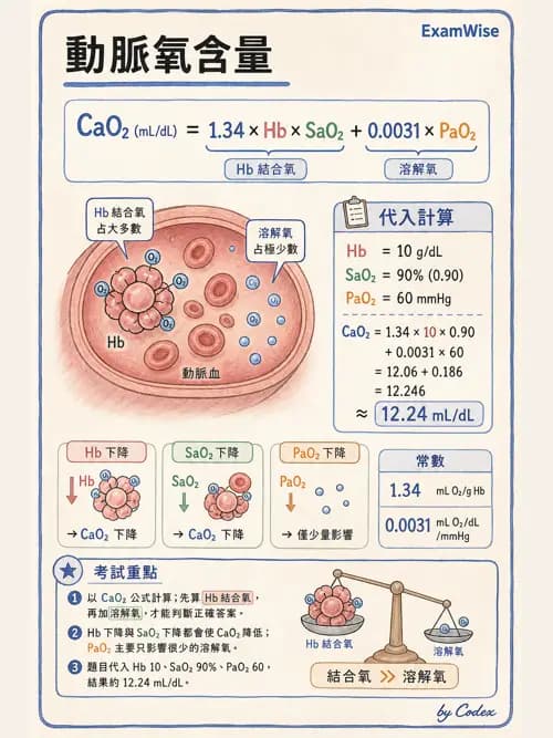 呼吸治療師 - 動脈血液氣體分析與氧合評估 - AI 圖文解析預覽