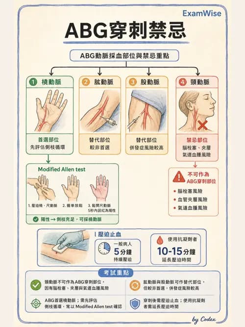 呼吸治療師 - 動脈血液氣體分析與氧合評估 - AI 圖文解析預覽