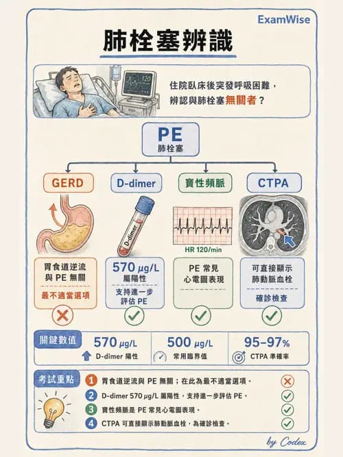 呼吸治療師 - 心血管評估與實驗室檢查 - AI 圖文解析預覽