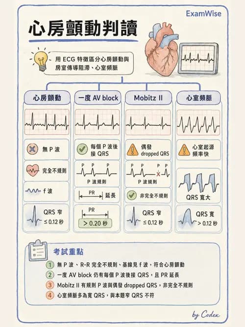 呼吸治療師 - 心血管評估與實驗室檢查 - AI 圖文解析預覽