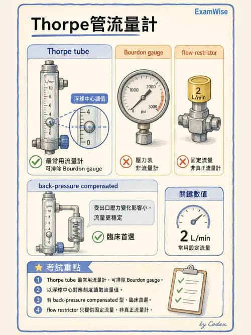 呼吸治療師 - 氣體輸送系統與氧氣治療 - AI 圖文解析預覽
