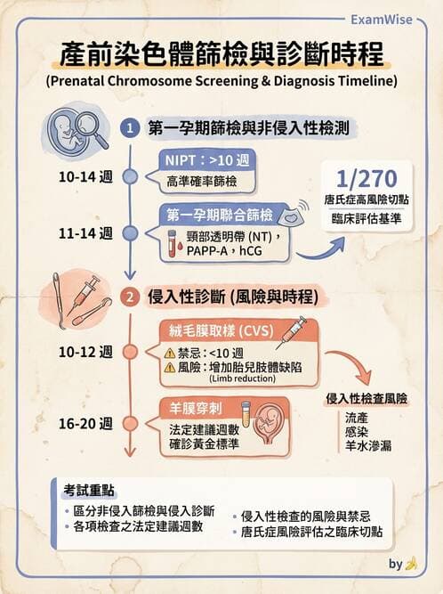 護理師 - 產前篩檢與遺傳診斷 - AI 圖文解析預覽