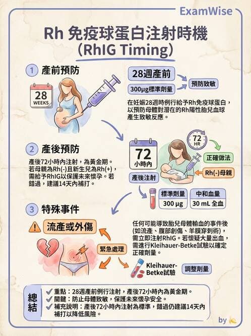 護理師 - 高危險妊娠 - AI 圖文解析預覽