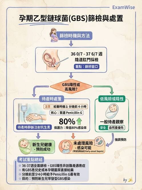 護理師 - 產前篩檢與遺傳診斷 - AI 圖文解析預覽