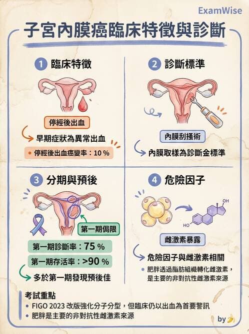 護理師 - 婦科腫瘤與感染 - AI 圖文解析預覽