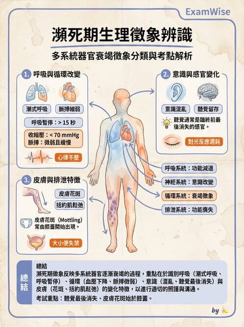 護理師 - 兒童心理與特殊照護 - AI 圖文解析預覽