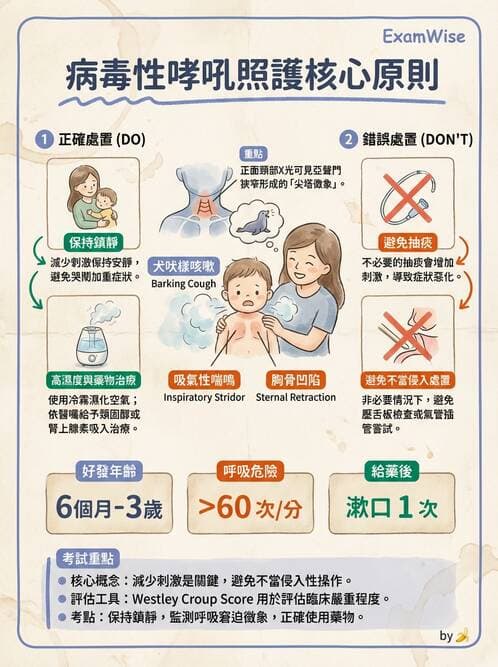 護理師 - 兒童呼吸系統疾病 - AI 圖文解析預覽