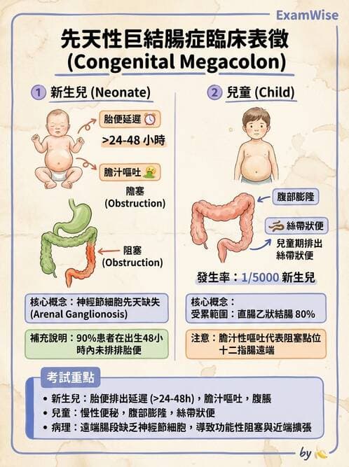 護理師 - 兒童消化系統疾病 - AI 圖文解析預覽