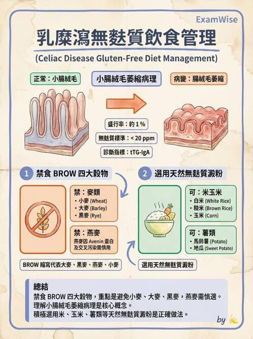 護理師 - 兒童消化系統疾病 - AI 圖文解析預覽