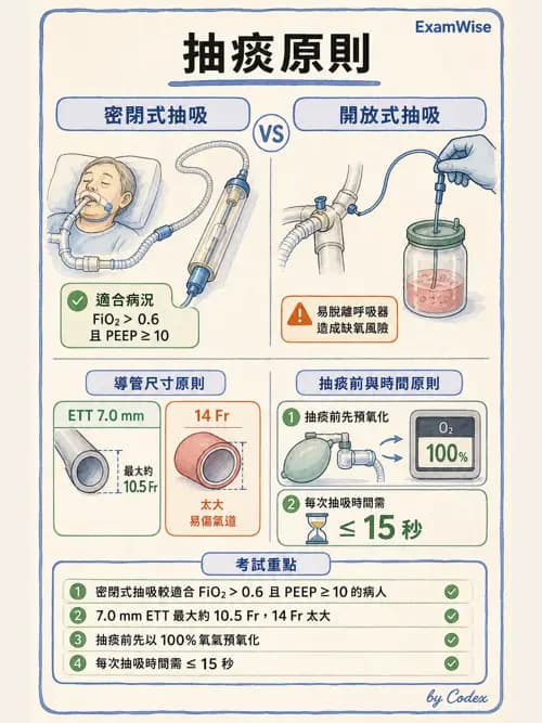 呼吸治療師 - 呼吸道照護與抽痰設備 - AI 圖文解析預覽