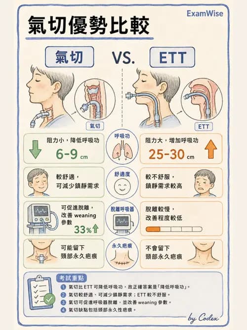 呼吸治療師 - 呼吸道照護與抽痰設備 - AI 圖文解析預覽
