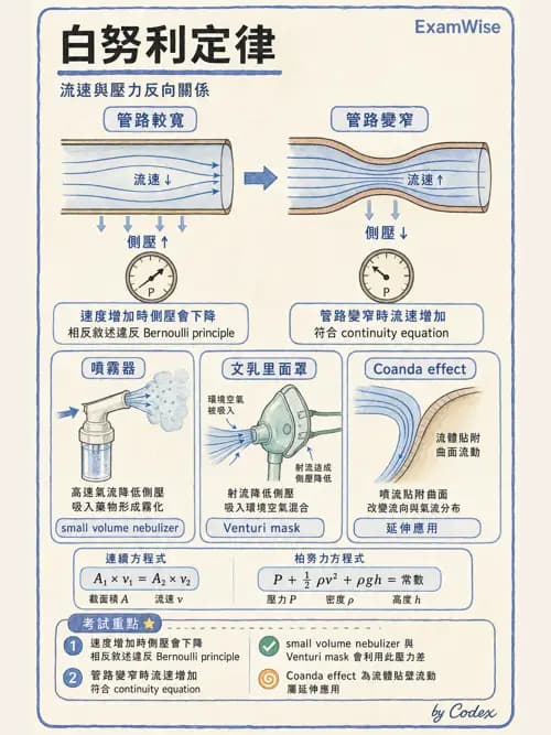 呼吸治療師 - 氣體物理學 - AI 圖文解析預覽