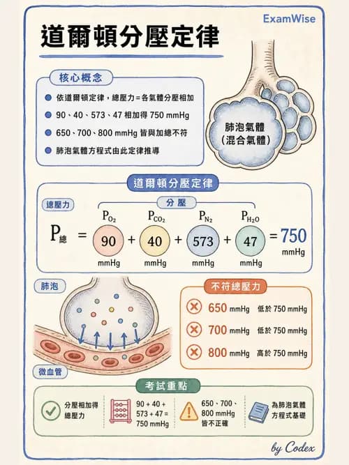 呼吸治療師 - 氣體物理學 - AI 圖文解析預覽