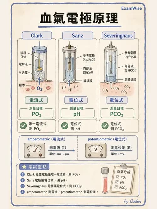 呼吸治療師 - 動脈血氣體分析設備 - AI 圖文解析預覽