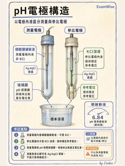 呼吸治療師 - 動脈血氣體分析設備 - AI 圖文解析預覽