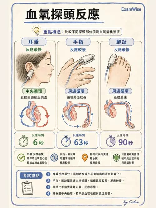 呼吸治療師 - 非侵入性呼吸監測設備 - AI 圖文解析預覽