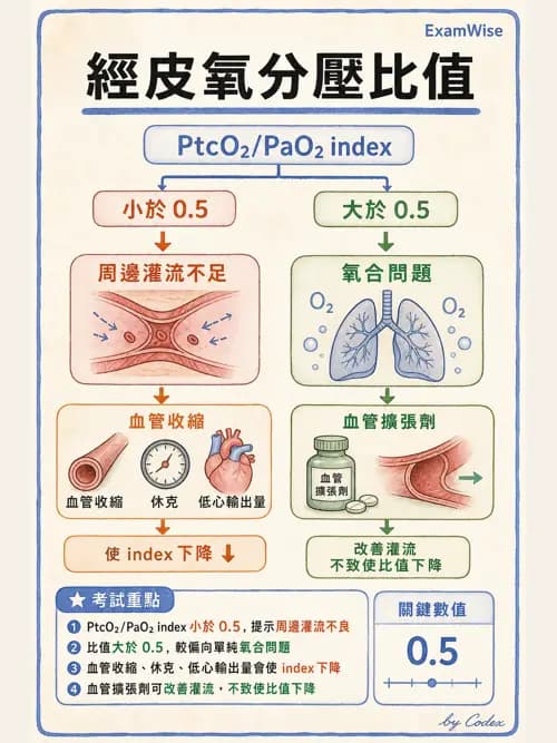 呼吸治療師 - 非侵入性呼吸監測設備 - AI 圖文解析預覽
