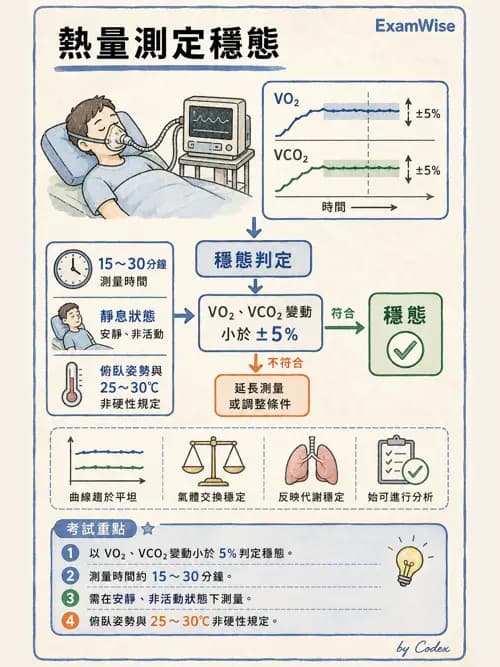呼吸治療師 - 非侵入性呼吸監測設備 - AI 圖文解析預覽
