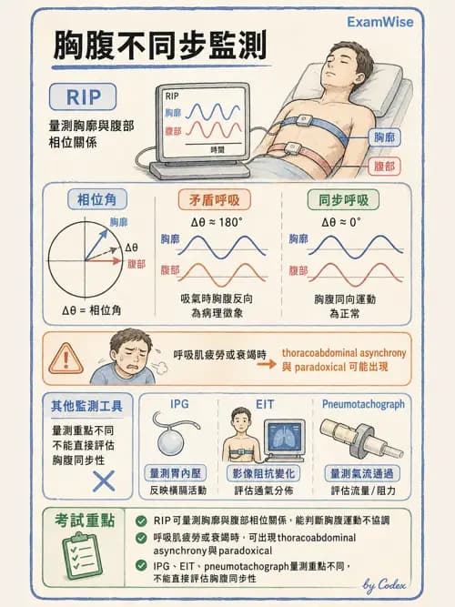 呼吸治療師 - 呼吸機械力學監測 - AI 圖文解析預覽