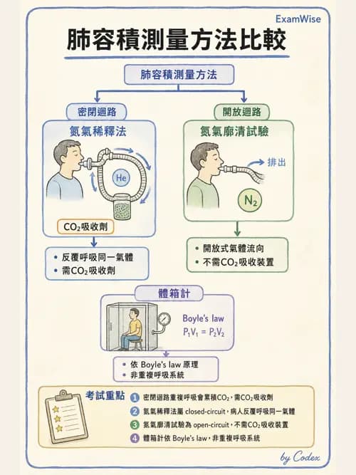 呼吸治療師 - 呼吸機械力學監測 - AI 圖文解析預覽