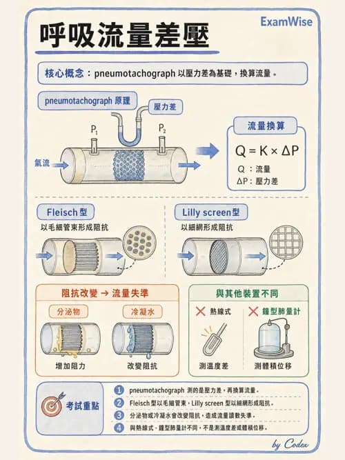 呼吸治療師 - 呼吸機械力學監測 - AI 圖文解析預覽