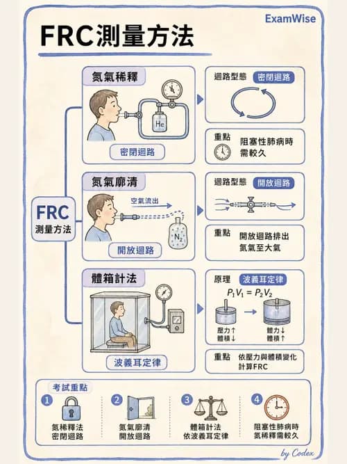 呼吸治療師 - 呼吸機械力學監測 - AI 圖文解析預覽