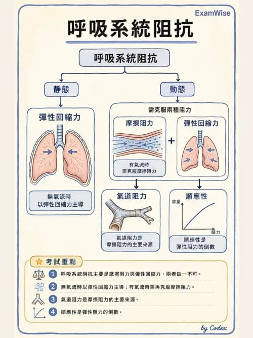 呼吸治療師 - 呼吸機械力學監測 - AI 圖文解析預覽