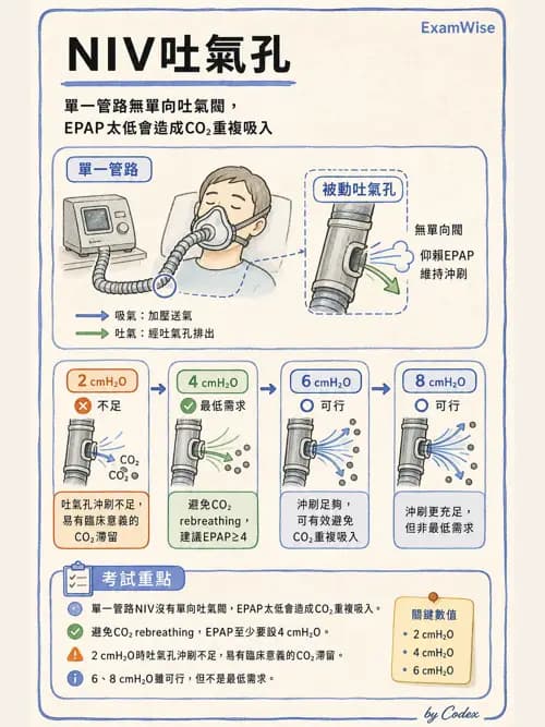 呼吸治療師 - 非侵襲性與居家通氣 - AI 圖文解析預覽