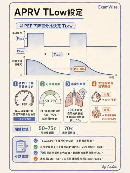 呼吸治療師 - 呼吸器設計與通氣模式 - AI 圖文解析預覽