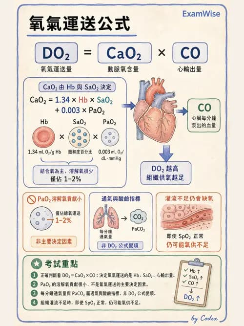 呼吸治療師 - 呼吸器監測與評估 - AI 圖文解析預覽