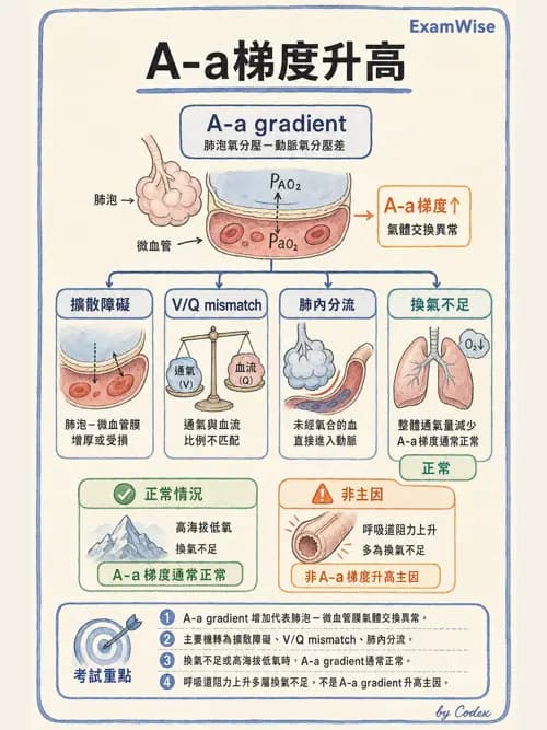 呼吸治療師 - 呼吸器監測與評估 - AI 圖文解析預覽