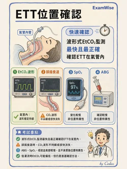呼吸治療師 - 呼吸器監測與評估 - AI 圖文解析預覽