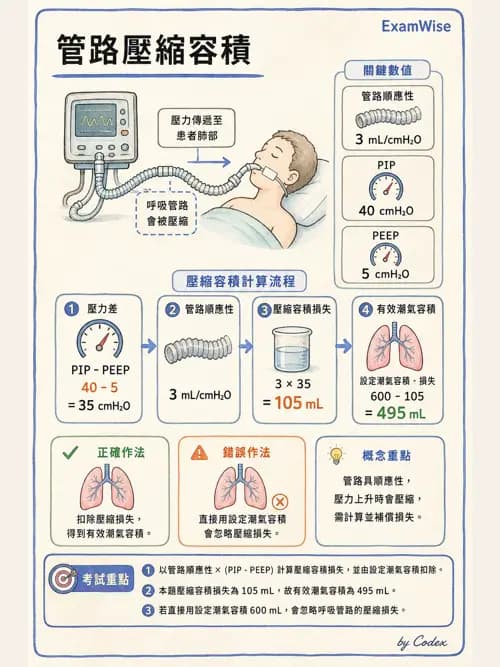 呼吸治療師 - 呼吸器監測與評估 - AI 圖文解析預覽