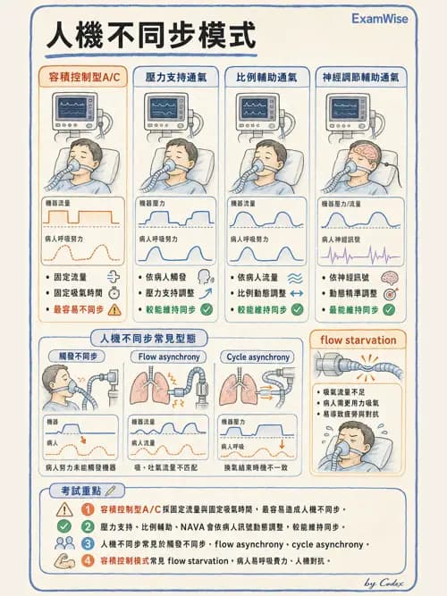 呼吸治療師 - 呼吸器監測與評估 - AI 圖文解析預覽
