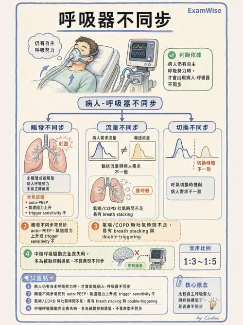 呼吸治療師 - 呼吸器監測與評估 - AI 圖文解析預覽
