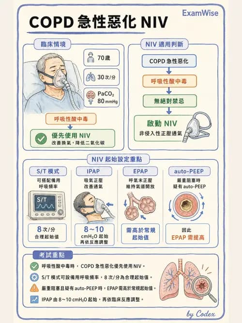 呼吸治療師 - 非侵襲性與居家通氣 - AI 圖文解析預覽