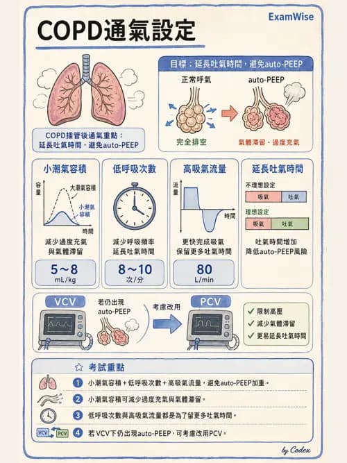 呼吸治療師 - 臨床設定、參數調整與脫離 - AI 圖文解析預覽