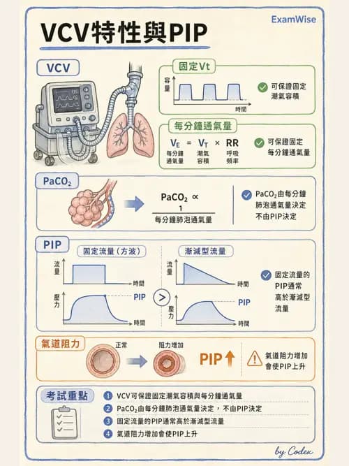 呼吸治療師 - 呼吸器設計與通氣模式 - AI 圖文解析預覽