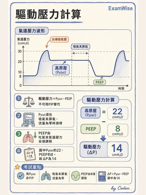 呼吸治療師 - 呼吸器圖形判讀與故障排除 - AI 圖文解析預覽