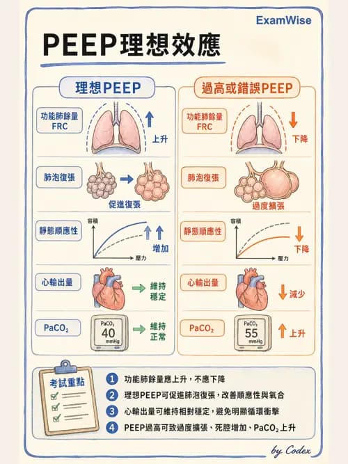 呼吸治療師 - 臨床設定、參數調整與脫離 - AI 圖文解析預覽