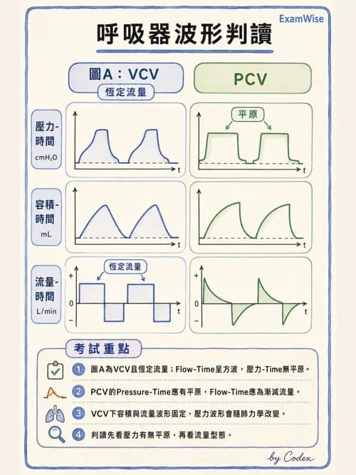 呼吸治療師 - 呼吸器圖形判讀與故障排除 - AI 圖文解析預覽