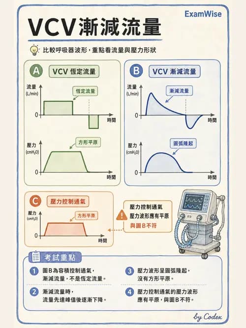 呼吸治療師 - 呼吸器圖形判讀與故障排除 - AI 圖文解析預覽