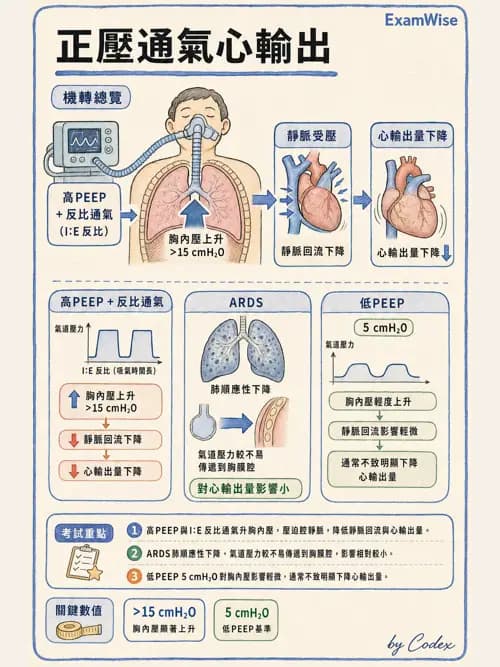 呼吸治療師 - 呼吸器圖形判讀與故障排除 - AI 圖文解析預覽